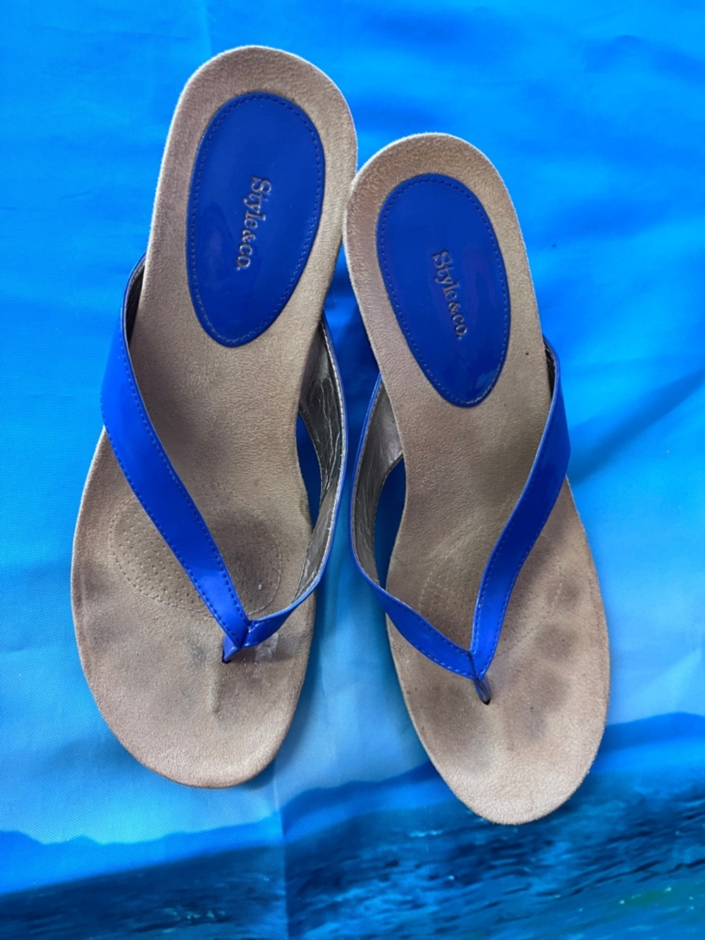 Royal Blue Women's Thong Sandals